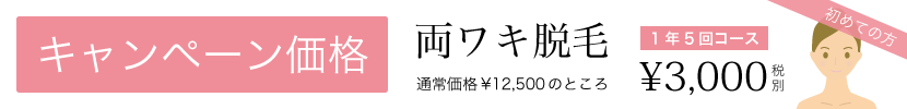 初回お試し価格